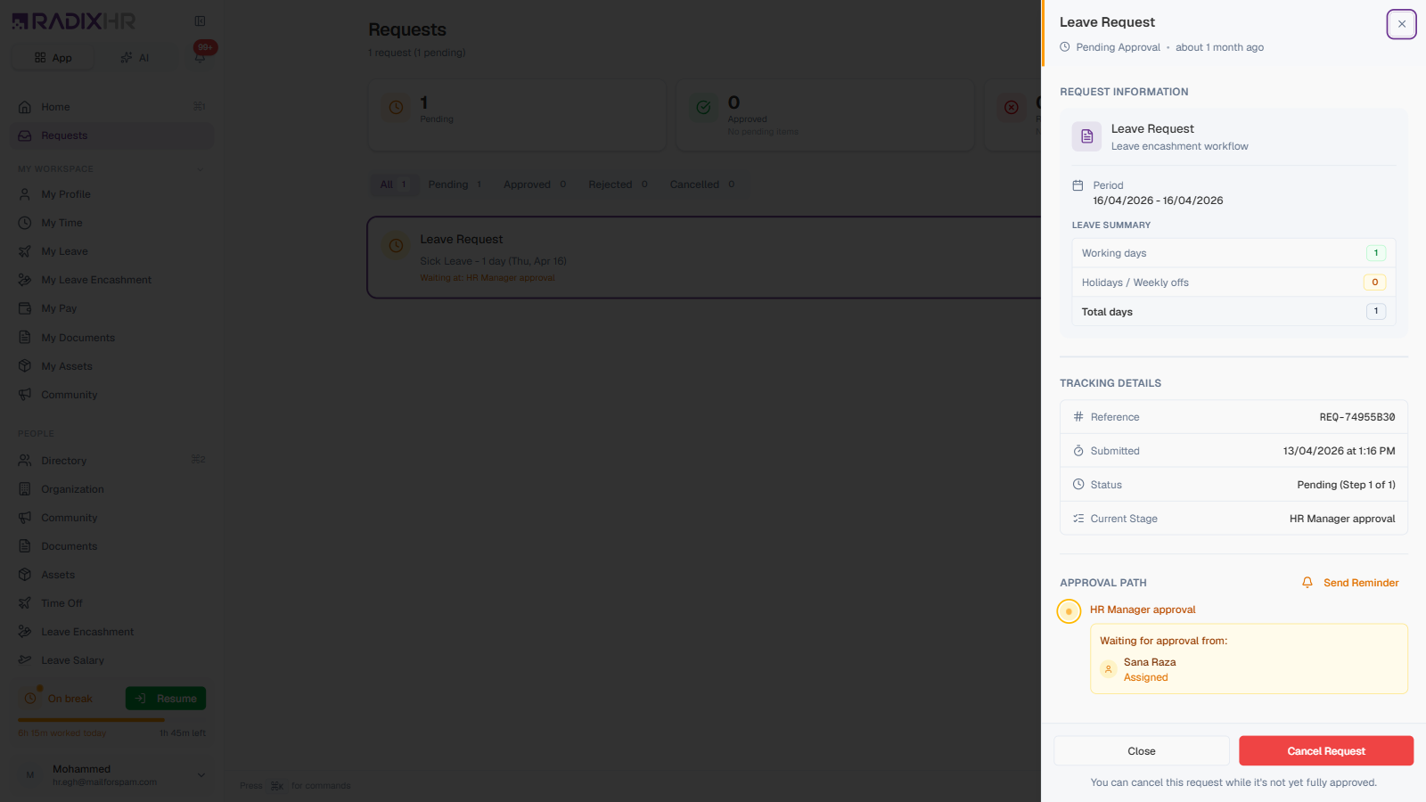 Request details panel